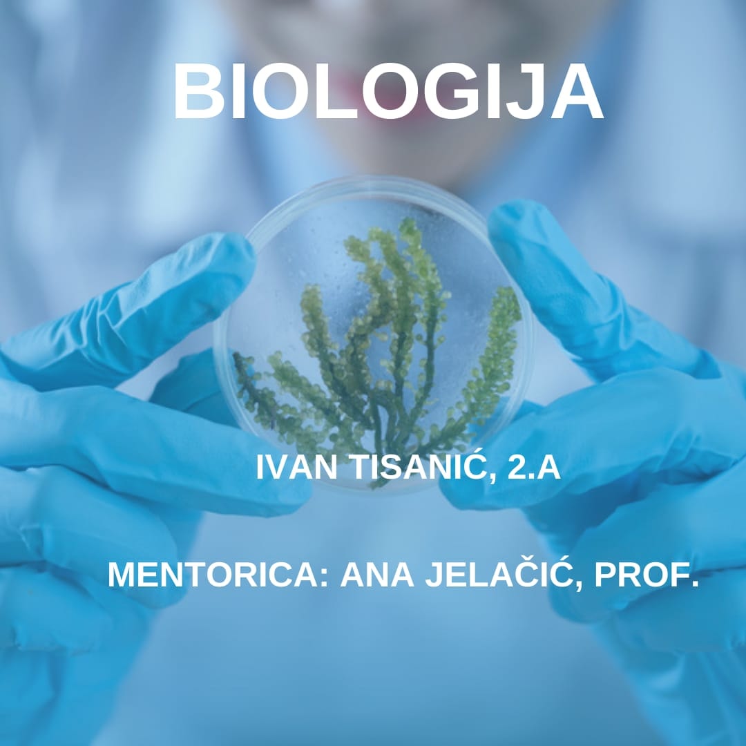 Biologija