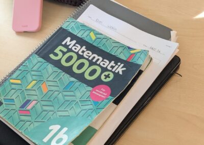 Projekt What About Us, Švedska i Danska